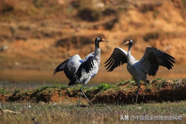 攀枝花是哪个省的城市，西部区（“四川特区”攀枝花）