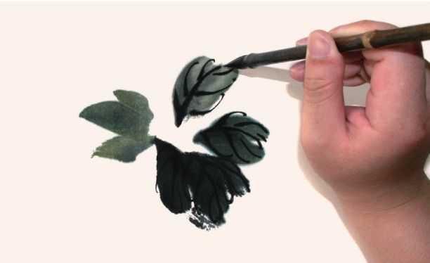 简易叶子画法，简易叶子画法图片（分步骤讲解老叶画法）