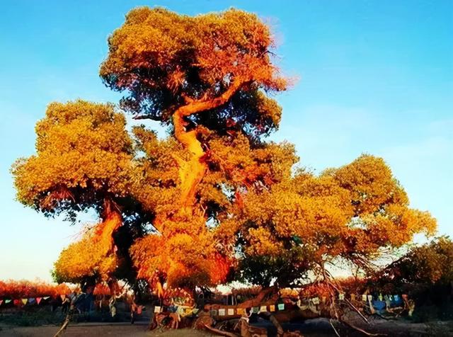 关于百灵庙镇介绍，百灵庙镇政府（内蒙古这四个村镇将成为自治区级历史文化名镇名村）