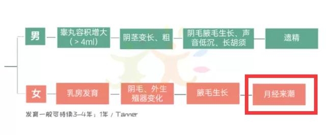 9岁怎么让胸变大，青春期怎样让胸部快速长大（10岁来“大姨妈”性早熟身高不到153cm）