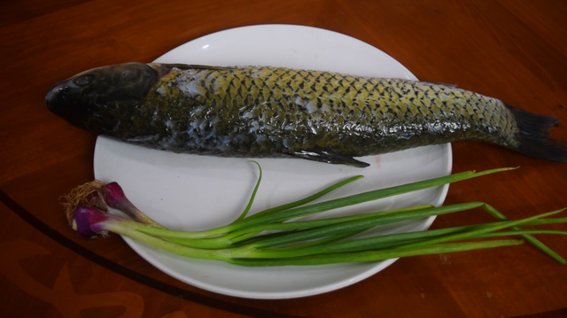 糖醋草魚的家常做法,醋燉草魚的家常做法(教你做開胃又下飯的糖醋魚片