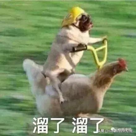 梦见自己大便是什么意思，梦见大便是什么意思啊（沙雕网友的奇葩梦）