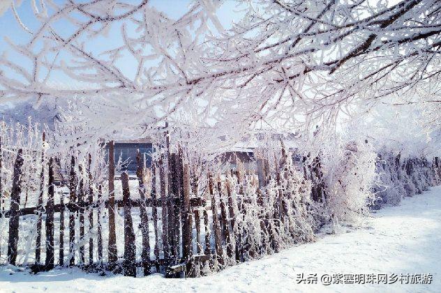 雾凇岛什么时候有雾凇，吉林省吉林市雾凇岛什么时候有雾凇（能看到雾凇的几率就是这么大）