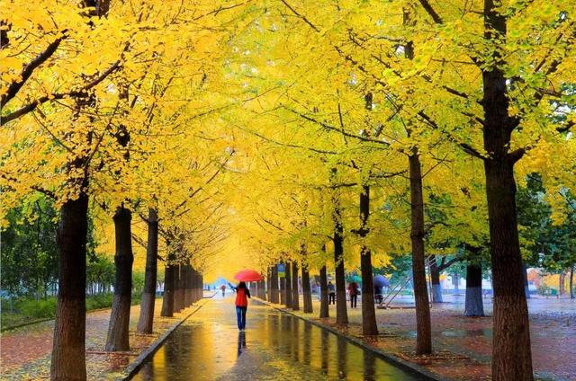 辽东学院宿舍条件怎么样，辽东学院宿舍几人间（辽宁省普通高等院校）