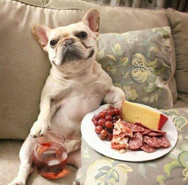 逗比有趣的朋友圈说说，逗比盆友圈说说（逗趣搞笑的朋友圈说说）