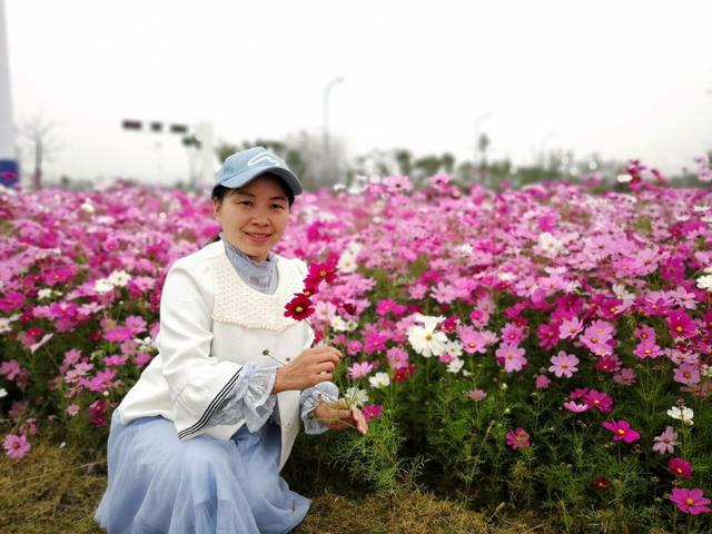 月光曲说课稿，月光曲说课稿一等奖部编版（爱玩的女老师这样写读后感）