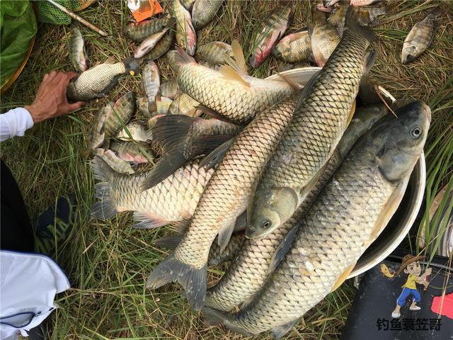 鱼竿多长比较合适，新手钓鱼多长的鱼竿合适（准确找到鱼儿活跃水深）