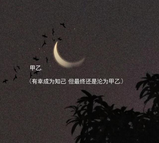 有特殊意义的网名，拥有特殊意义的网名（喜欢的人是海面上的灯塔）