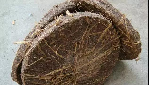 茶枯饼的药效功效与作用，茶饼有什么功效（剩下的茶饼妙用多）