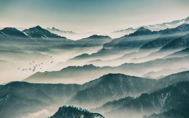 我本楚狂人全诗欣赏，我本楚狂人小说简介（却仍有古代名家称后几句没水平）