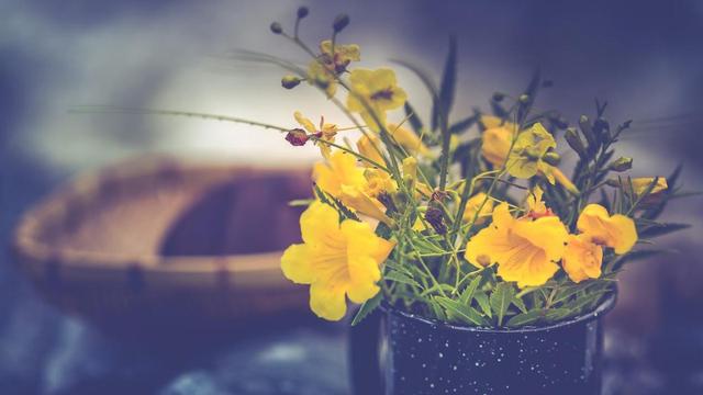 梦见青年男子是什么意思，梦到都是年轻小伙子（当你梦见男人，也说明他在想你）