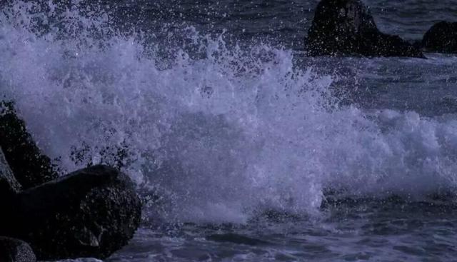 温柔到爆的神仙作文开头结尾，温柔到爆的神仙作文开头结尾加题目（学霸都在用的神仙作文开头✨）