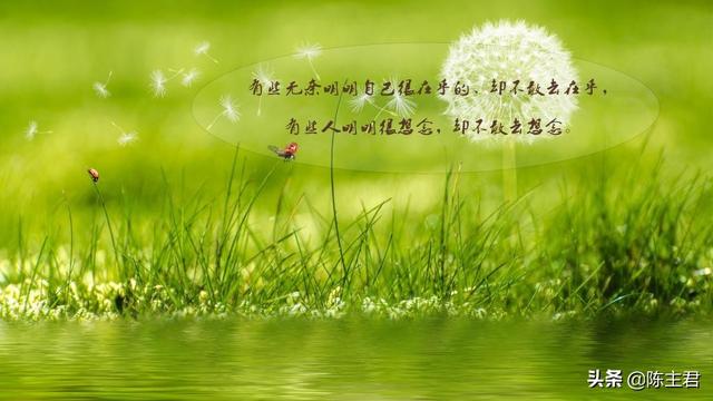 表达心累又无奈的说说，压抑憋屈的心情说说（伤感心累无奈的说说）