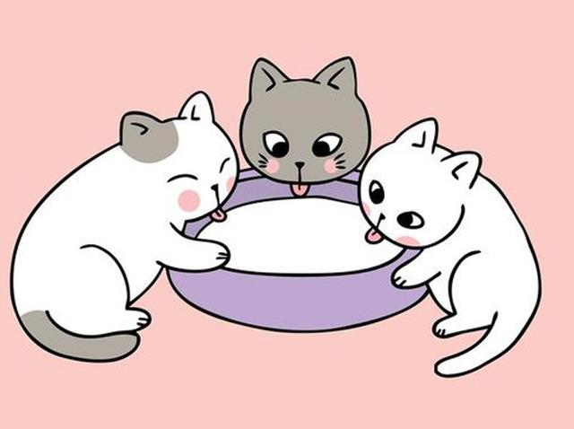 猫可以喝椰奶吗，椰子无糖酸奶猫能吃吗（你应该知道猫和牛奶的这些历史）