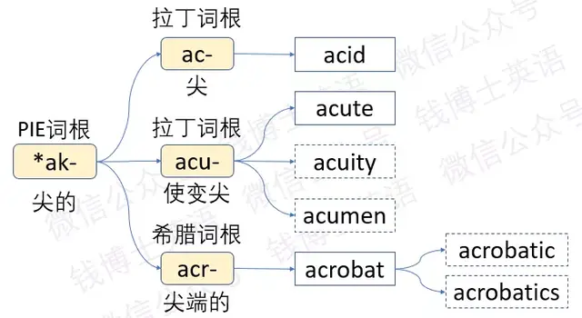 ac是什么意思，网络用语ac是什么意思（词根词缀法巧记考研英语词汇）