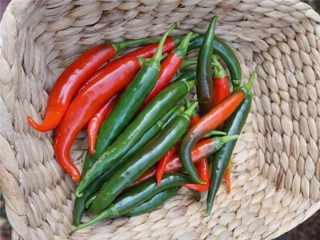 家里有鼻涕虫怎么消灭，鼻涕虫怎么彻底消灭（自制天然杀虫水）