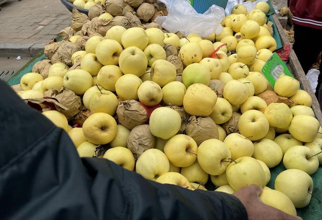 辽宁最穷十大城市排名，辽宁最穷的五个市（本溪、铁岭、阜新谁能在2019翻盘呢）
