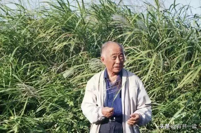 汪曾祺经典语录名句，汪曾祺经典语录名言名句赏析（汪曾祺经典语录50句）