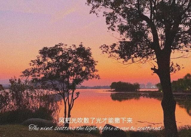 今日份橙色系背景图，微信头像，今日份橙色系背景图（分享一波喜爱的壁纸、背景图、头像。）