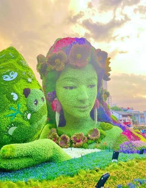 秋天学校的花坛（带你去看花花世界）