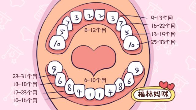 婴儿长牙时间和顺序，宝宝长牙的月龄和顺序是咋样的