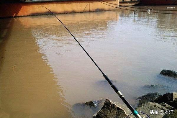 浑水钓鱼有绝招，今天才知道浑水钓鱼效果这么好