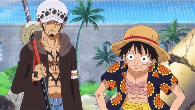 海贼王罗最后有没有加入路飞，海贼王：罗和路飞结盟另有原因