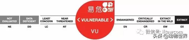 企鹅都有哪几种分别生活在哪里呢，企鹅都有哪些（详解世界上的18种企鹅<一>）