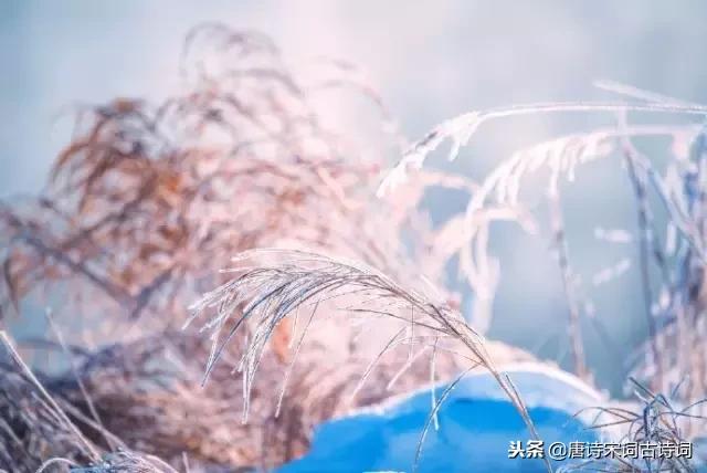 冬至杜甫的诗，冬至杜甫诗意（十首冬至诗词：探春漫道江梅早）