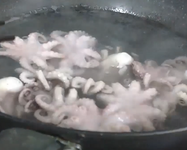 红烧八爪鱼最简单的做法，试试这样做4步搞定美味红烧八爪鱼