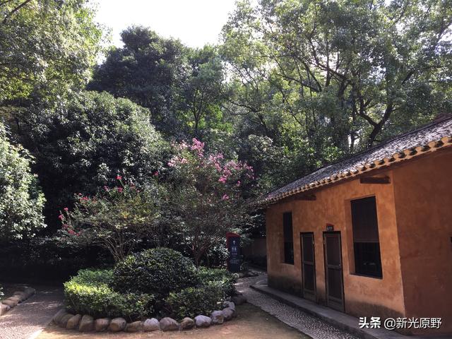 关于雷锋的句子，关于雷锋的句子有哪些（2019诗颂雷锋----谷新光）