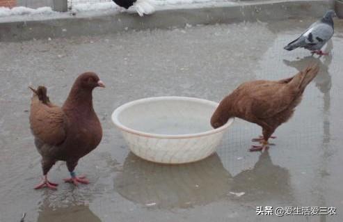创业投资项目(项目投资实施方案及未来收益报告)