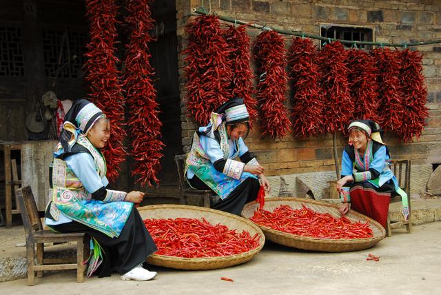 交杯酒是哪个民族的，交杯酒是哪里的传统（特色浓郁的布依族酒文化）