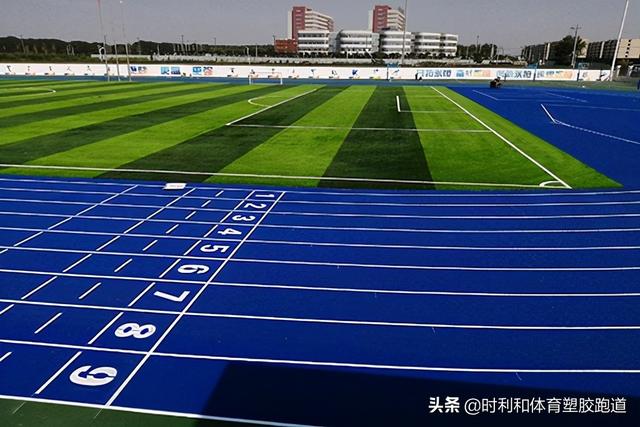 蓝色跑道意味什么，蓝色跑道象征着什么（2分钟了解蓝色塑胶跑道成为运动场地新宠）