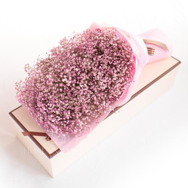 满天星可以放多久，满天星买来怎么保存（满天星花，7种满天星花语）