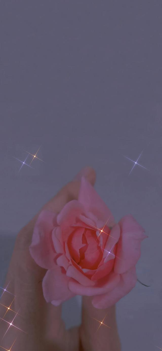 植物，微信头像，植物（清爽夺目的花花世界：）