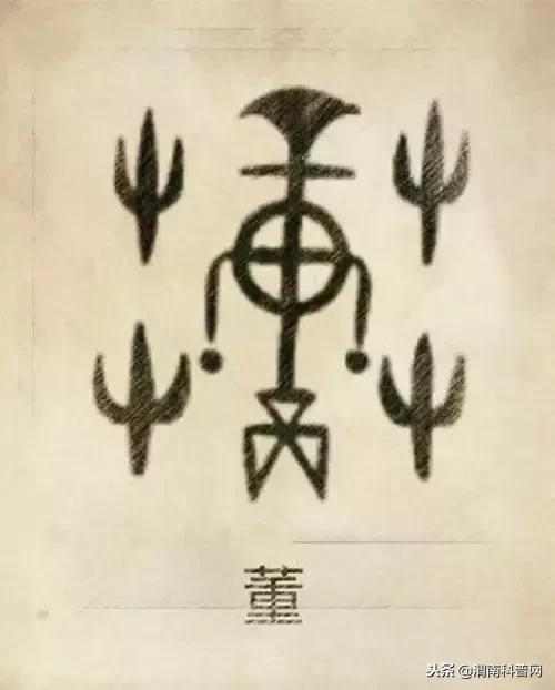 一个草字头一个吕，草字头加吕什么字（中国100大姓氏起源、图腾）