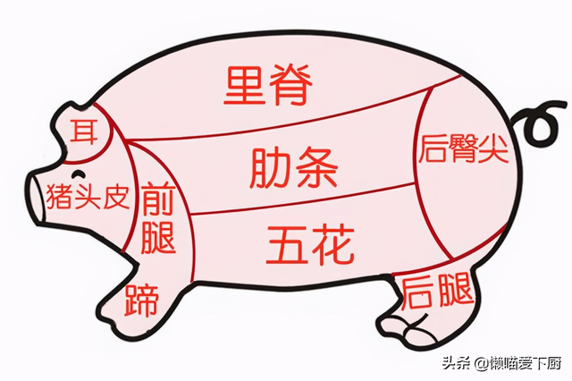前尖肉和后尖肉的区别，后尖肉是哪个部位（选“前尖肉”还是“后尖肉”）