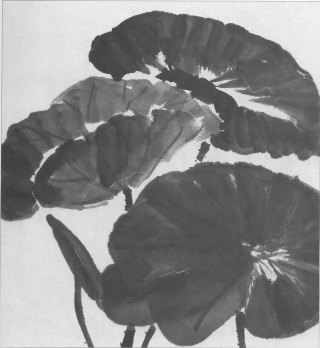 水墨画初学者入门教程，水墨画入门教程（图文教程：画水墨荷花）