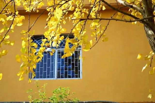 韶关云门寺，韶关云门寺图片（韶关这座色彩斑斓的古寺现在去正好）