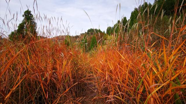 厦门青龙山溶洞，厦门秋天的白云洞