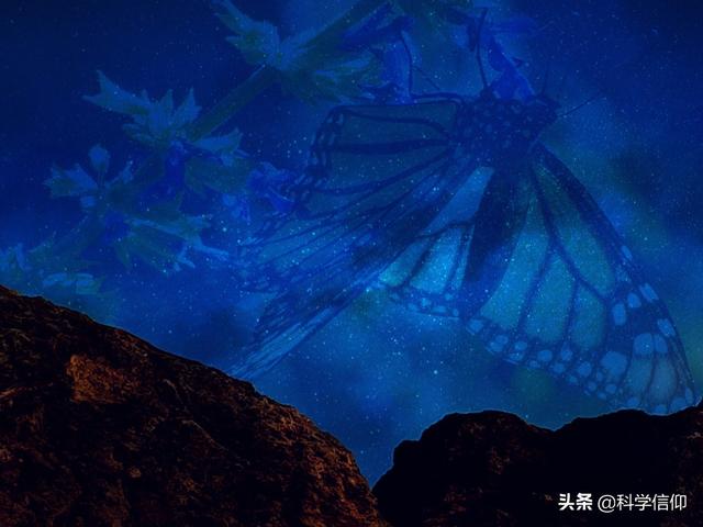 地球上的生命是怎样诞生的，地球上的生命是怎样产生的（地球生命是如何诞生的）