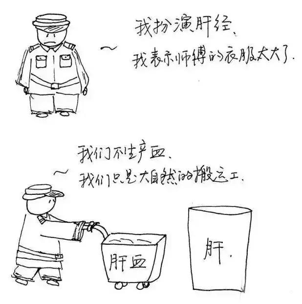 十二时辰养生对照表,子午流注十二时辰养生漫画图解 十二时辰养生对照表,子午流注十二时辰养生漫画图解