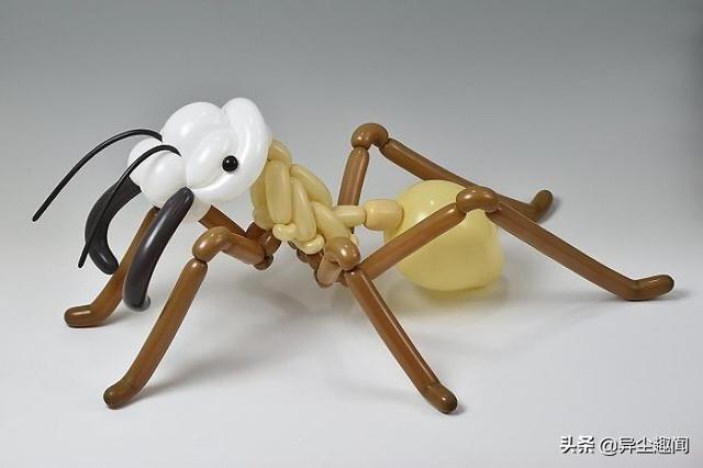 用气球做小动物教程，教你用气球做小狗的方法（日本艺术家用气球制作了令人难以置信的动物模型）