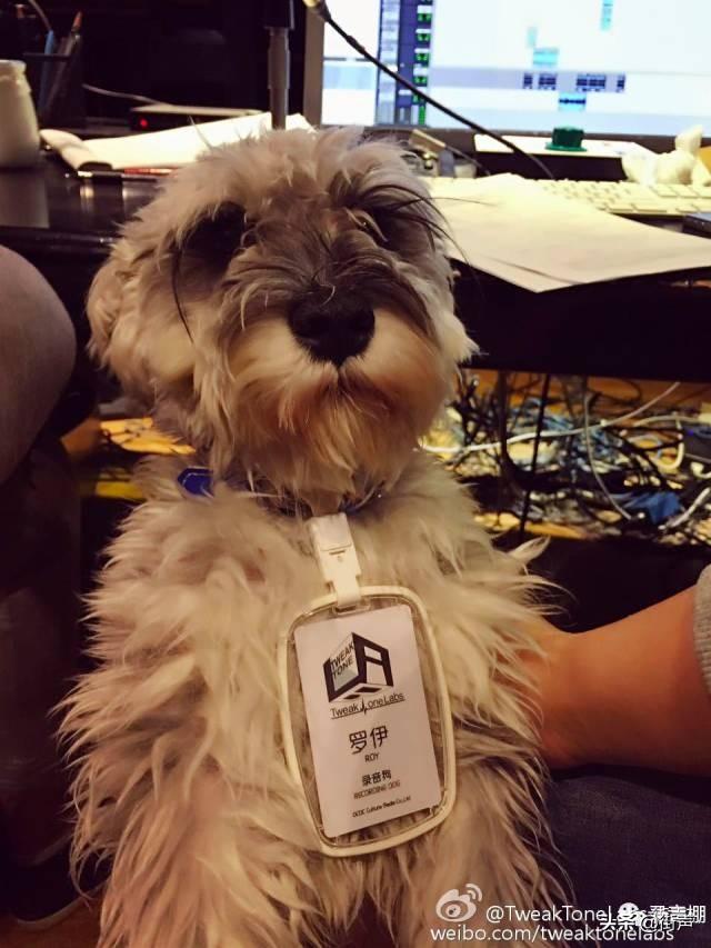 荒井十一是日本人吗，荒井十一为什么弄个日本名（“耗”出来的金曲奖制作人）