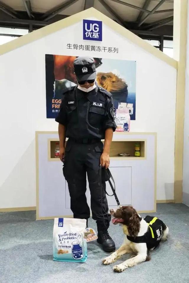 办狗证有什么用，狗狗办了狗证有什么用（狗狗或面临被“处死”风险）