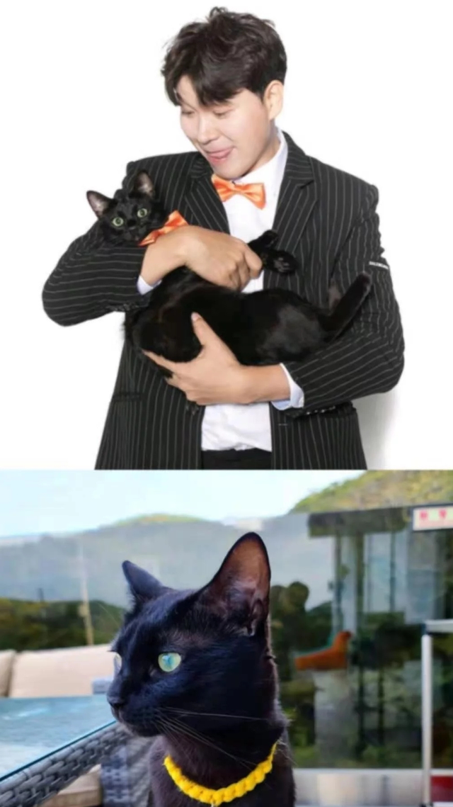 初恋张润贞歌词，喜欢你原唱黄家驹（娱乐圈中光彩照人的明星们和他们身后贪得无厌的家人们）