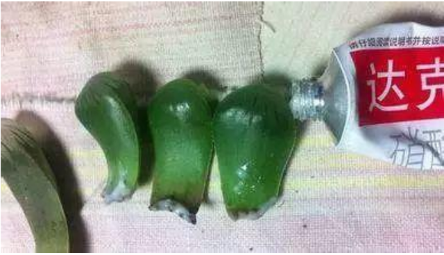 达克宁软膏该怎么用，达克宁软膏如何使用（不烂根防黑腐）