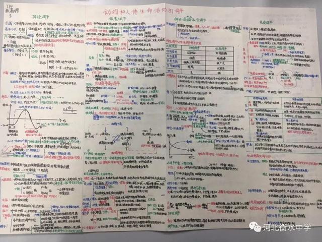 电脑中怎样把白纸变成横格纸，阅卷老师狂赞的“衡水体”书写视频曝光