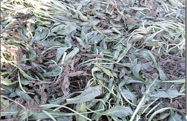 茶叶种类大全，中国六大茶叶品种简介